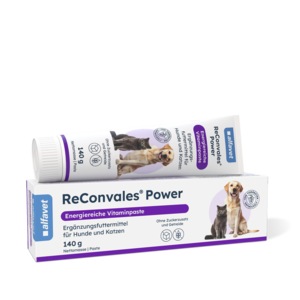 Alfavet ReConvales Power pack