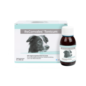 Alfavet ReConvales Tonicum Dog pack